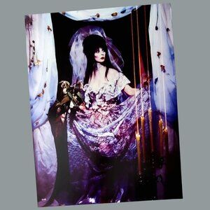 ELVIRA Mistress Of The Dark Wall Poster Gothic Vampire